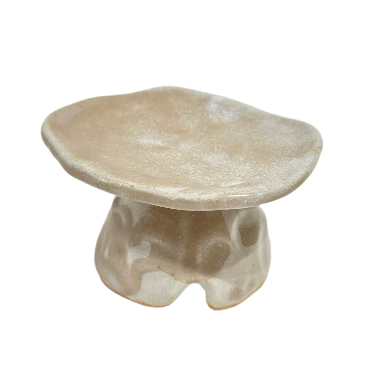 Mini mushroom trinket dish